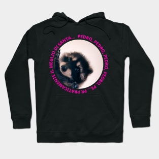 PEDRO, PEDRO, PEDRO, PEDRO, PE... PR PRATICAMENTE Hoodie